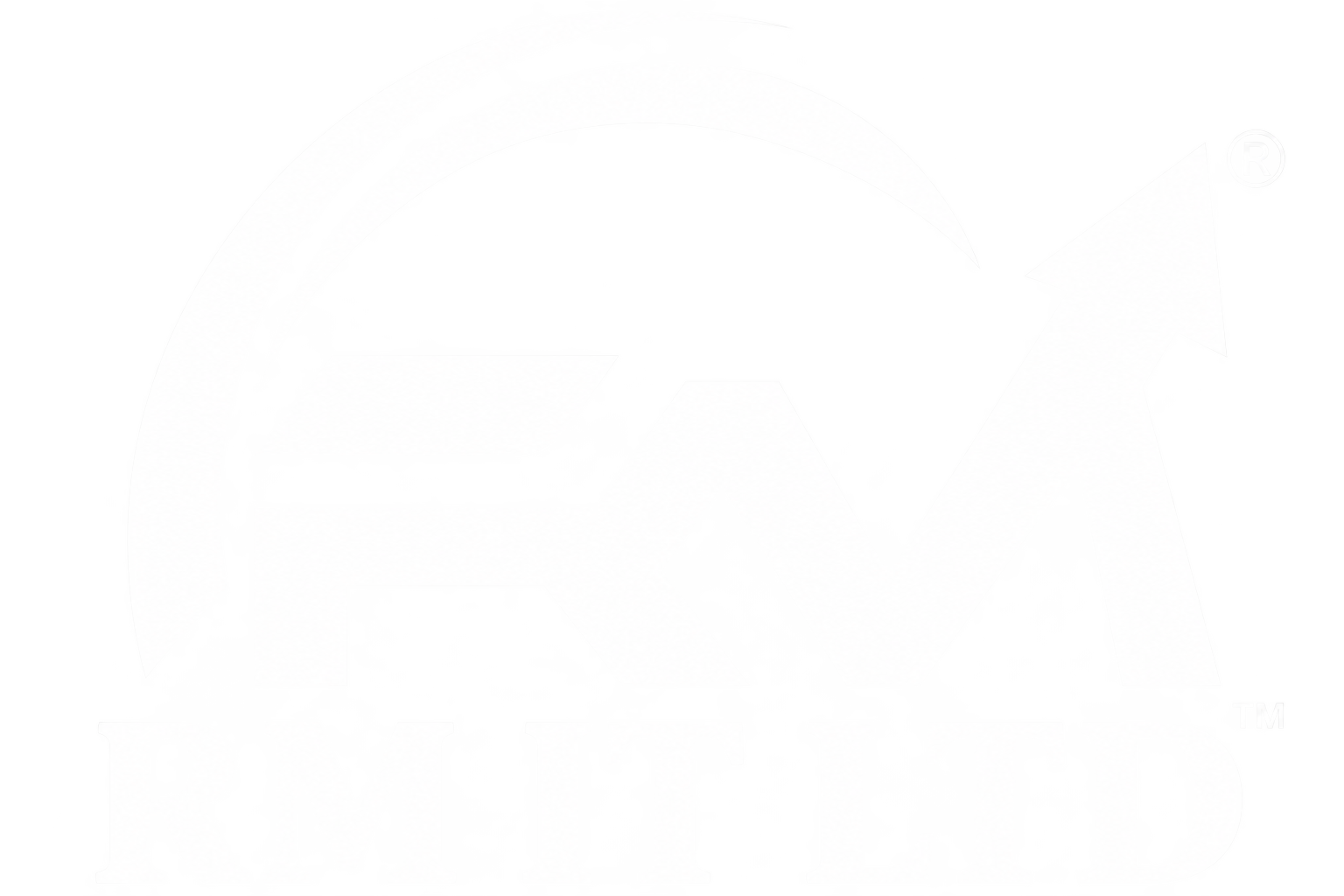 RM IT LTD